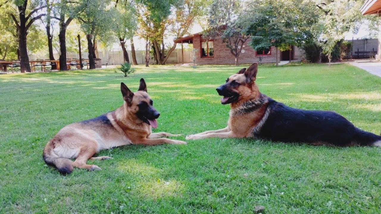 Lujan De Cuyo B&B エクステリア 写真